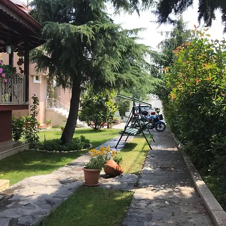 Bursa